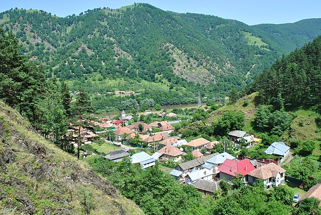 Despre lipsa de ocrotire a românilor