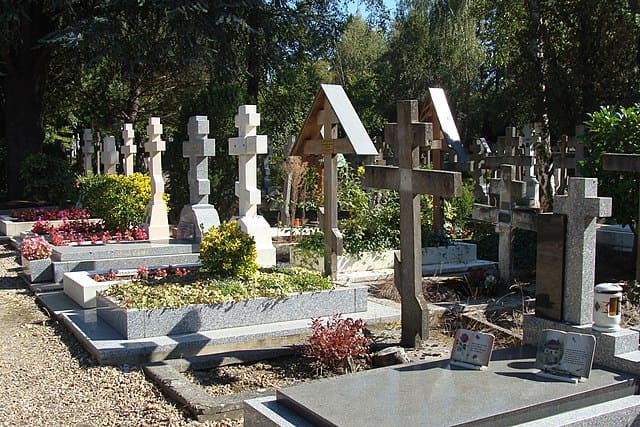 Rusia moare, dar nu poate să se predea